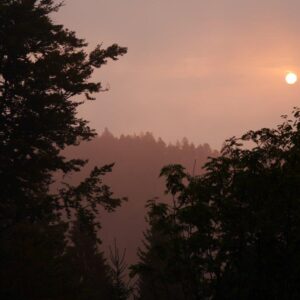 Der Bohnet geht um <br/>Morgenerwachen am Teisenkopf mit Schwarzwald-Guide Joachim Waidele<br/> Freitag, 29.07.22